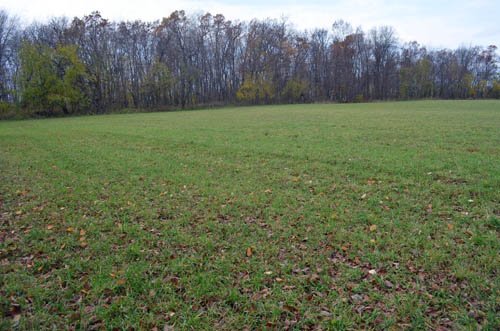 Property photo 40 - 80 Acres & Home - Property Offered in 4 Tracts from 2.3 to 30.0 Acres